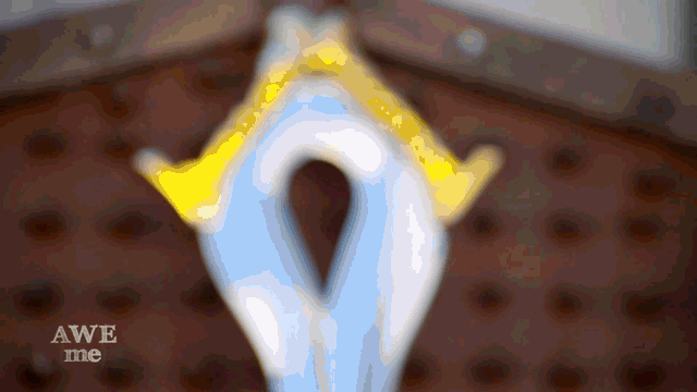 falchion