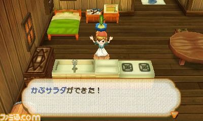 nintendon-harvest-moon-ctnal-workshop-002