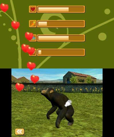 nintendon-la-mia-clinica-veterinaria-3d-missione-zoo-comunicato-screen-002