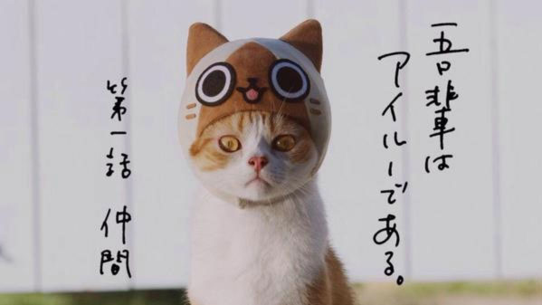 nintendon-monster-hunter-poka-poka-gatti-veri-foto-001