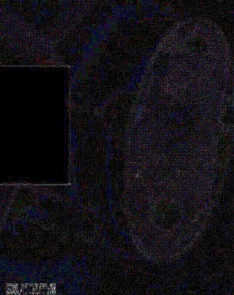 leak controller nx